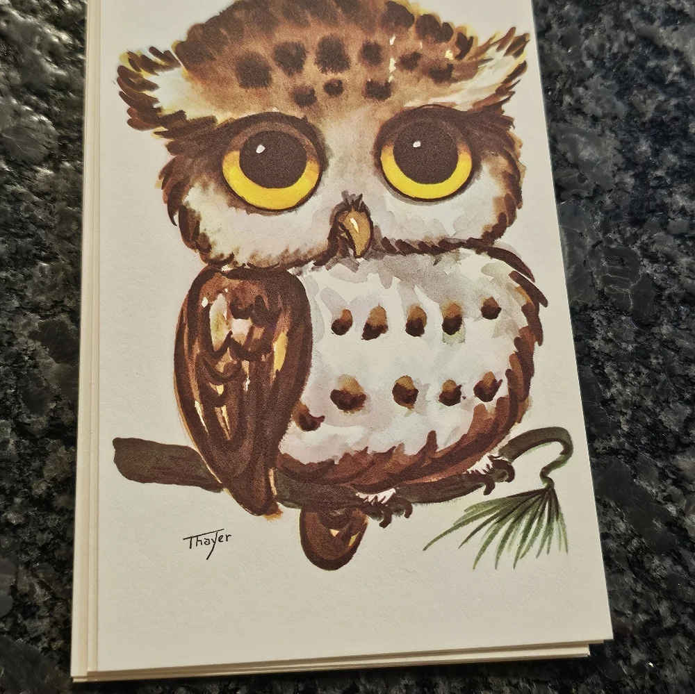 Vtg Thayer Kitschy Owls Big Eyes 16 Post Cards Picture Art 70's MCM Maine USA‎